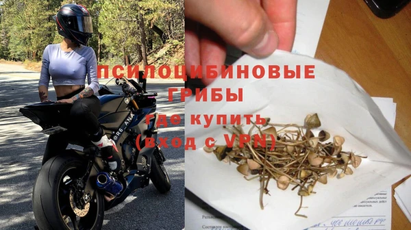 эйфоретик Балахна