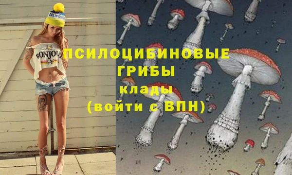эйфоретик Балахна