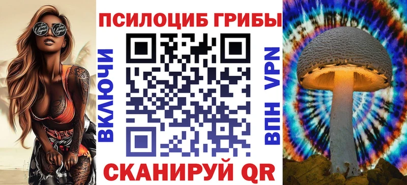 продажа наркотиков  KRAKEN как войти  Псилоцибиновые грибы Psilocybe  Усолье-Сибирское 